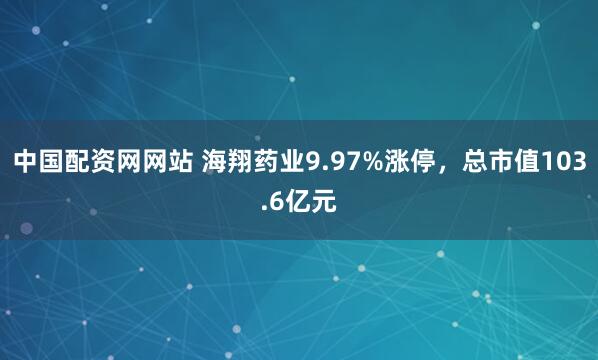 中国配资网网站 海翔药业9.97%涨停，总市值103.6亿元
