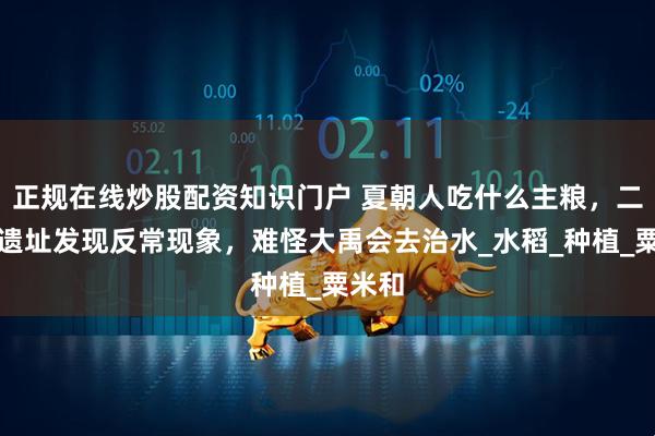 正规在线炒股配资知识门户 夏朝人吃什么主粮，二里头遗址发现反常现象，难怪大禹会去治水_水稻_种植_粟米和